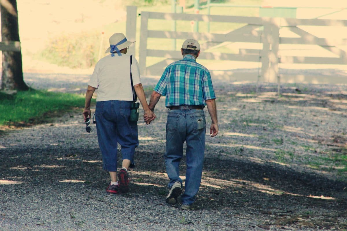 A couple walking hand in hand along a sunlit path