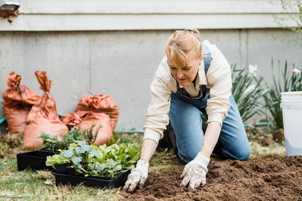 A woman spending time planting in her garden